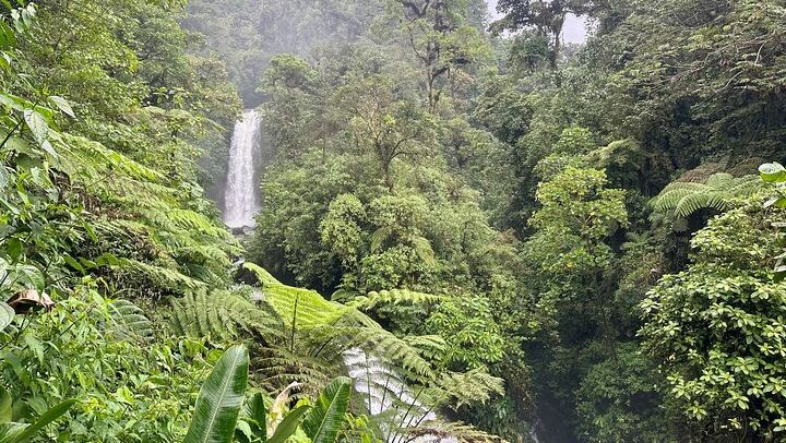 La Paz Waterfall Gardens Tour