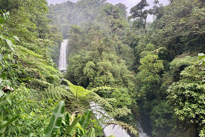 La Paz Waterfall Gardens Tour