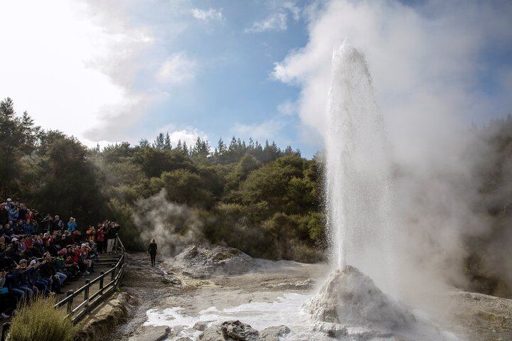 Lady Knox Geyser Presentation