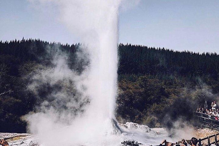 Lady knox geyser