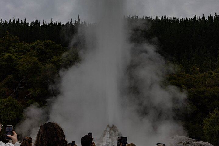 Lady Knox Geyser