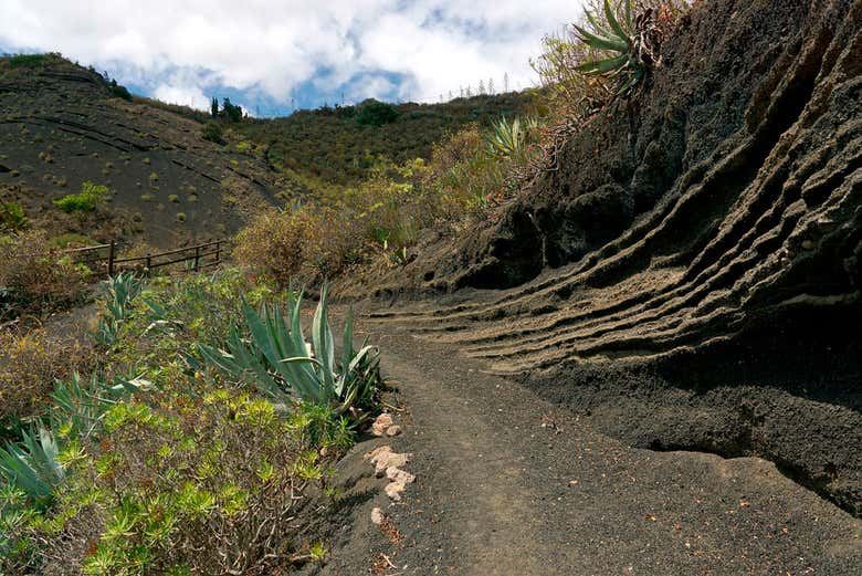 Las Palmas & Caldera de Bandama Day Trip