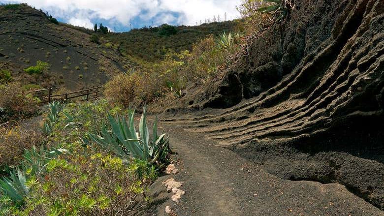 Las Palmas & Caldera de Bandama Day Trip