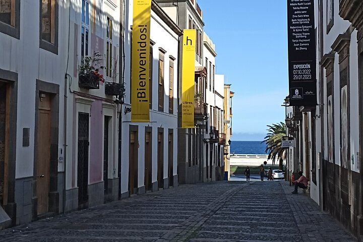 Bandama Caldera, Wine Tasting and Vegueta: Private Half-Day Tour from Las Palmas Port (6/12)