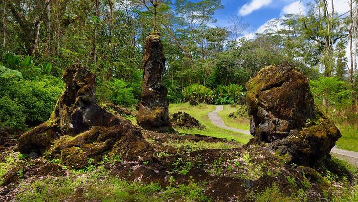 Lava trees- Lava eruption in the rainforest
