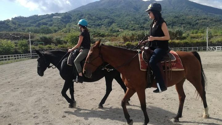 lesson in field before going for going out a horseback