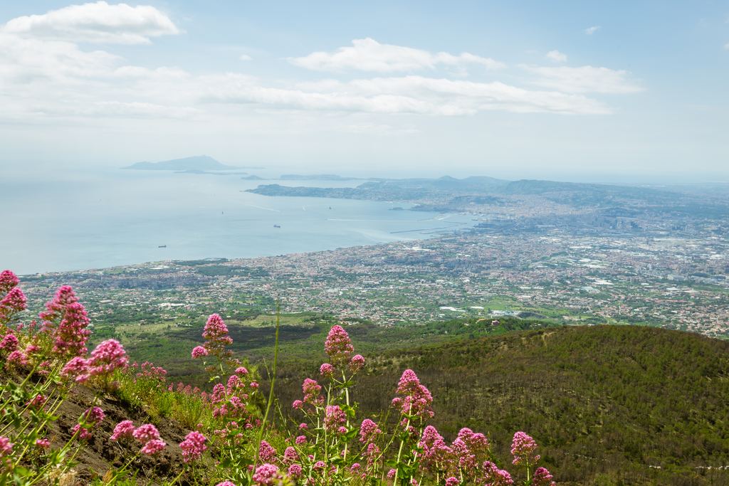 The Campanian coast and the towns below Mount Vesuvius, seen from the volcano
