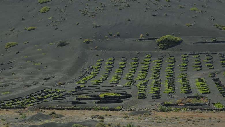 Los Volcanes Natural Park Buggy Tour
