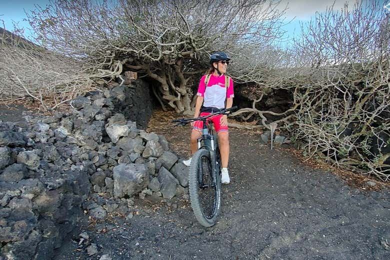 Los Volcanes Natural Park Bike Tour