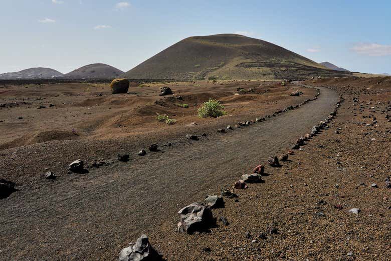 Los Volcanes Natural Park Buggy Tour