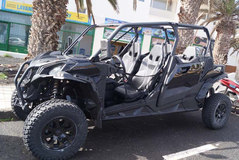 Los Volcanes Natural Park Buggy Tour