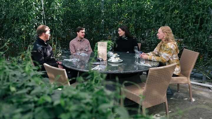 Lunch in Friðheimar greenhouse