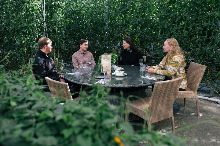 Lunch in Friðheimar greenhouse