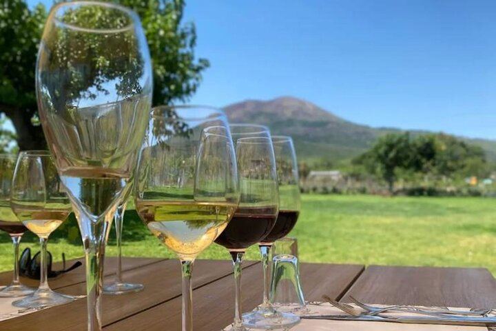Lunch & Wine Tasting in the National Park of Mt Vesuvius