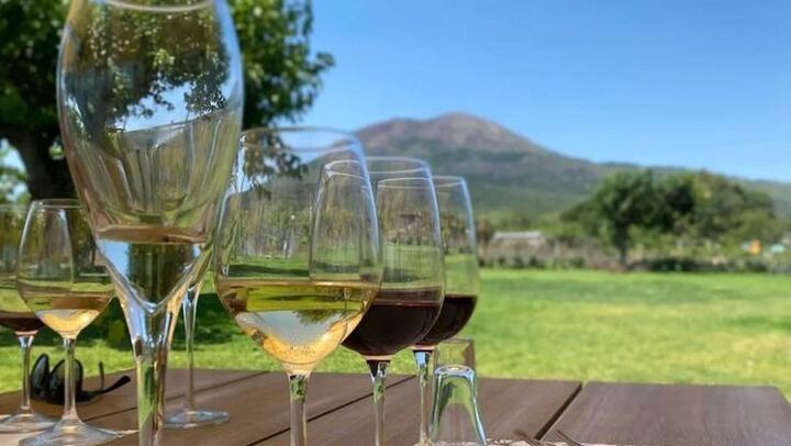 Lunch & Wine Tasting in the National Park of Mt Vesuvius