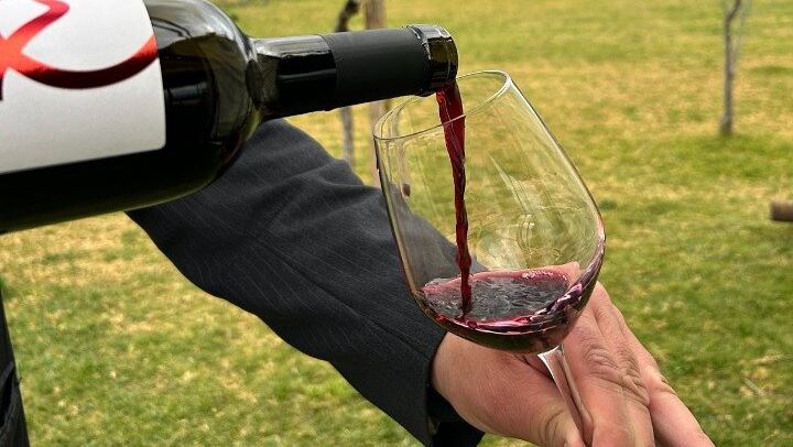 Lunch & Wine Tasting in the National Park of Mt Vesuvius