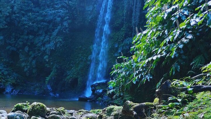 Majestic North São Miguel - Fogo Lagoon, Waterfalls & Tea (Lunch)