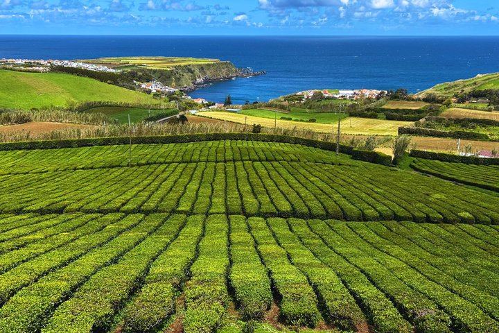 Majestic North São Miguel - Fogo Lagoon, Waterfalls & Tea (Lunch)