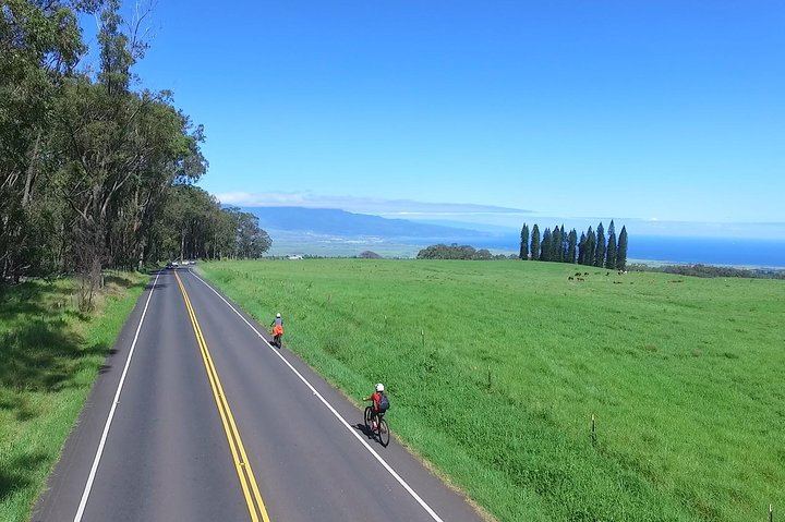 Maui Sunriders Bike Co. 20 Years Providing Self-Guided Haleakala Downhill Bike Tours! Over 1000+ 5 star reviews! Maui's Best & Longest Ride over any operator, from the mountain to the sea.