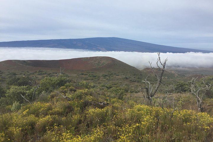 Mauna Loa Volcano