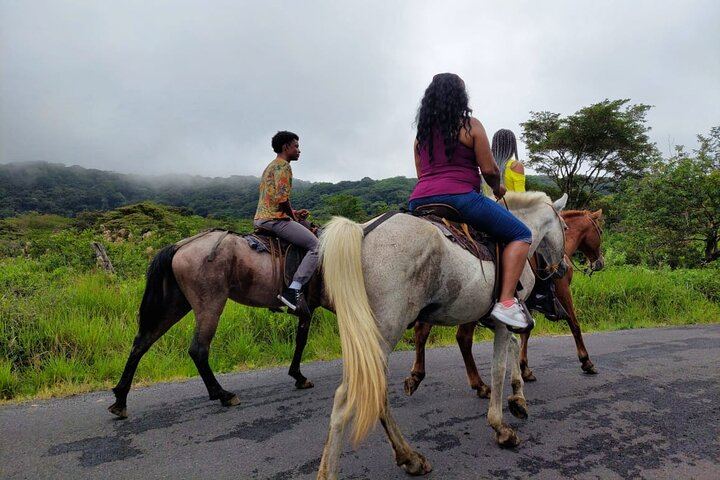 Miravalles Volcano: Hike Secondary Crater & Hot Springs Jungle