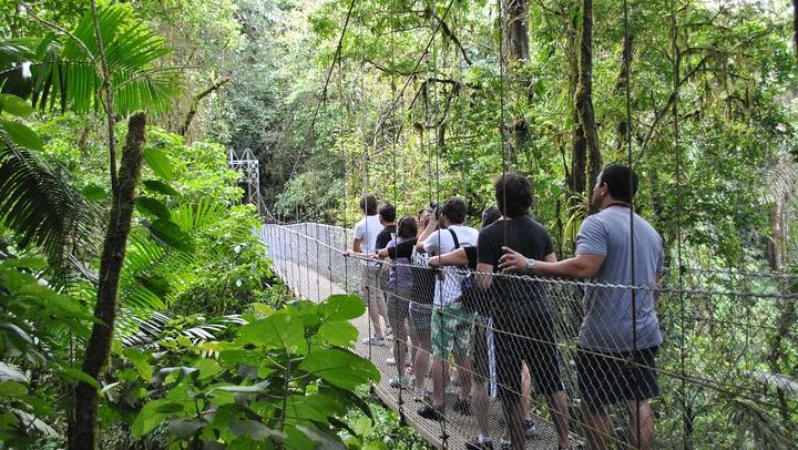 Mistico Hanging Bridges