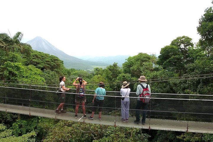 MISTICO HANGING BRIDGES