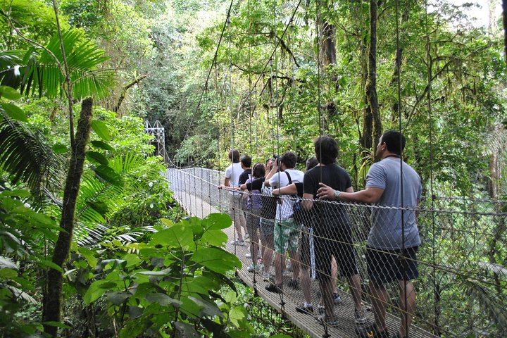 Mistico Hanging Bridges