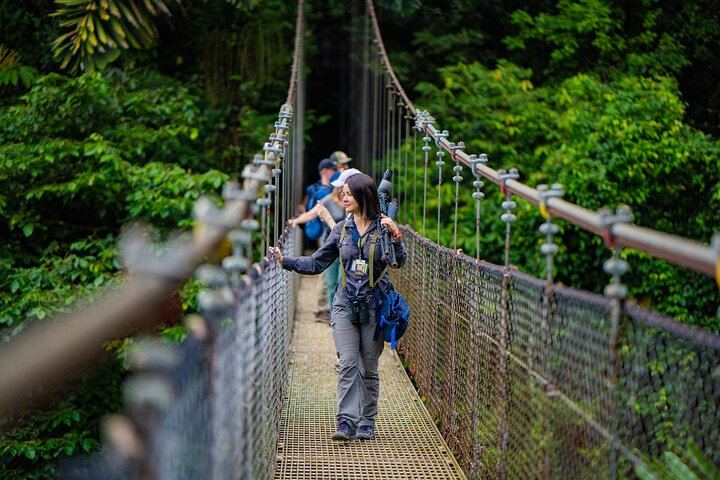 Morning Arenal Volcano Hike & Mistico Hanging Bridges Combo
