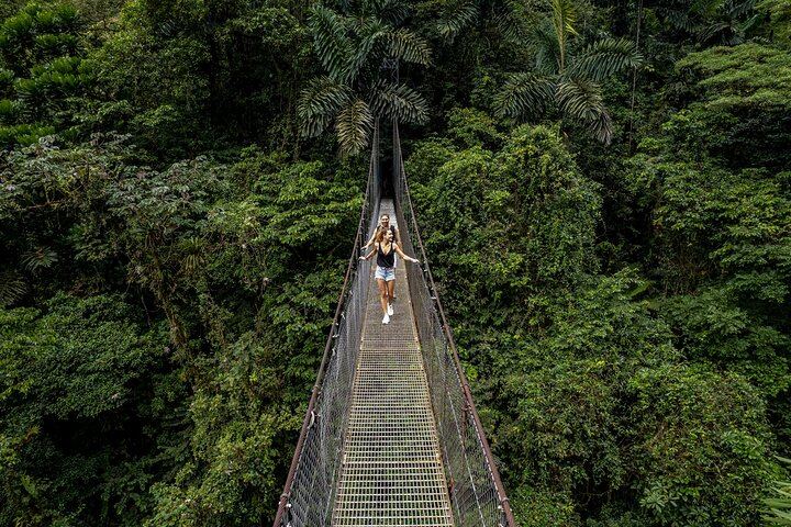 Morning Arenal Volcano Hike & Mistico Hanging Bridges Combo