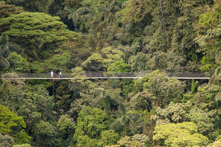 Morning Arenal Volcano Hike & Mistico Hanging Bridges Combo