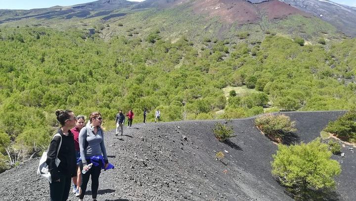 Mount Etna Half-Day Small Group Tour from Taormina