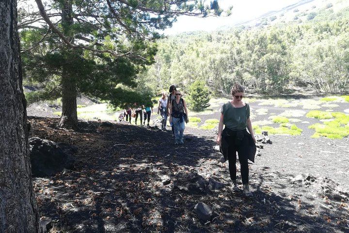 Mount Etna Half-Day Small Group Tour from Taormina