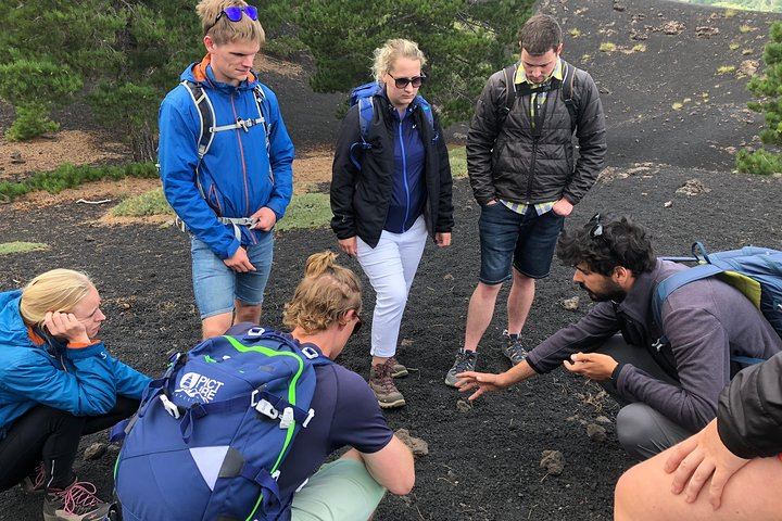 Mount Etna Half-Day Small Group Tour from Taormina