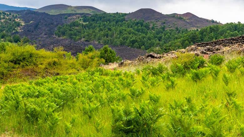Mount Etna Off-Road Tour