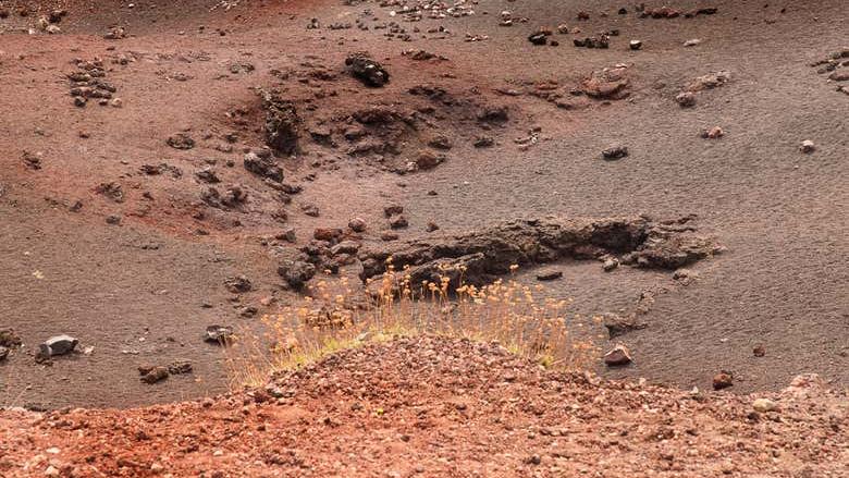 Mount Etna Off-Road Tour