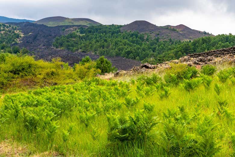 Mount Etna Off-Road Tour