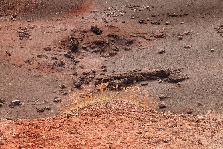 Mount Etna Off-Road Tour