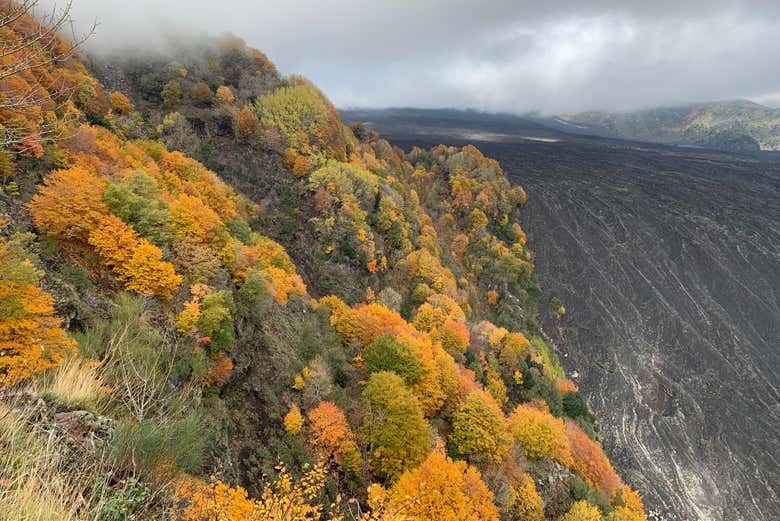 Mount Etna Off-Road Tour