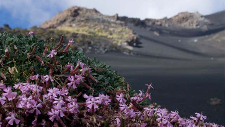 Mount Etna + Volcanic Caves Hiking Tour