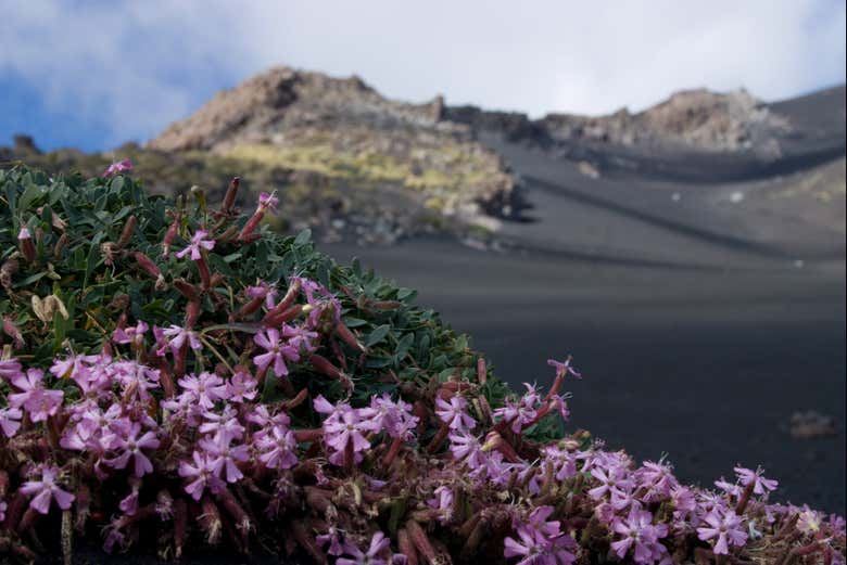 Mount Etna + Volcanic Caves Hiking Tour