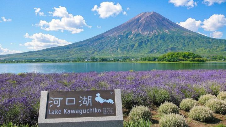 Mount Fuji Full Day Sightseeing Tour from Tokyo