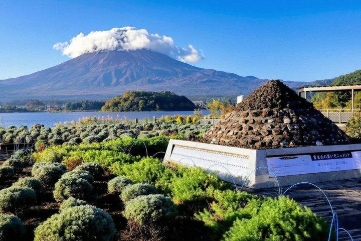 Mount Fuji Full Day Sightseeing Tour from Tokyo