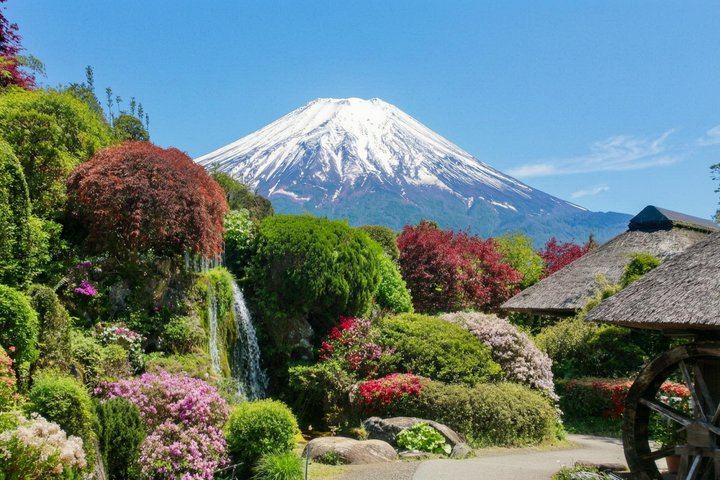 From Tokyo: Mount Fuji Sightseeing One Day Trip