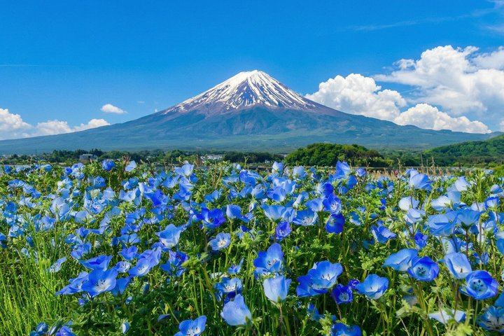 From Tokyo: Mount Fuji Sightseeing One Day Trip