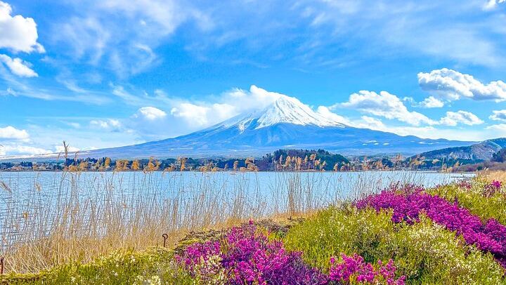 Mount Fuji, Kamakura, Big Buddha, & Lake Ashi Day Trip