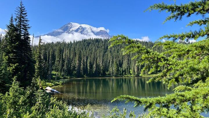 Mount Rainier Customized Tour from Seattle