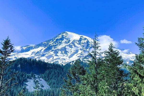 Mount Rainier at Your Own Pace: Named Trails at Paradise and Elbe's Railcar Diner