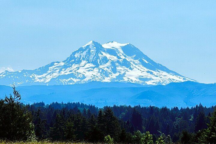 Mount Rainier Customized Tour from Seattle