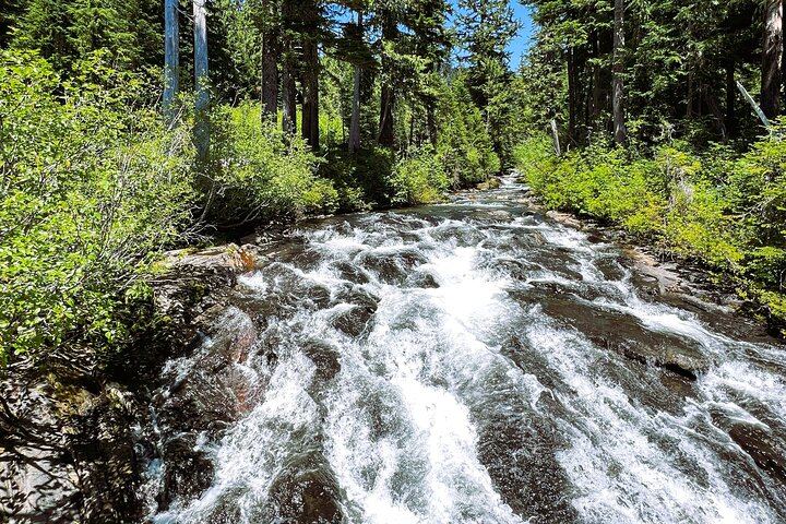 Mount Rainier Customized Tour from Seattle